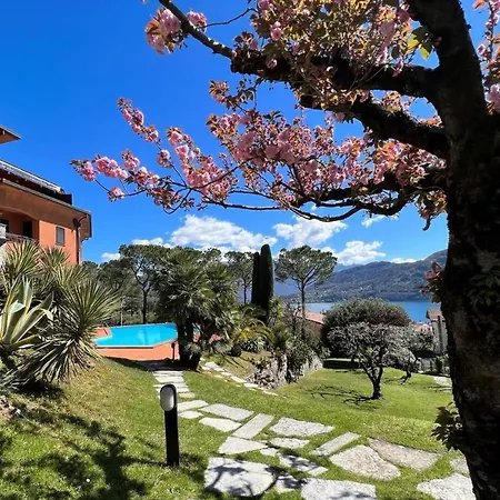 Brentano View Aparthotel *